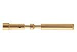 Đầu nối hệ mét tiết diện tròn M23 P female-c 1mm (0,75 1,5mm) Au