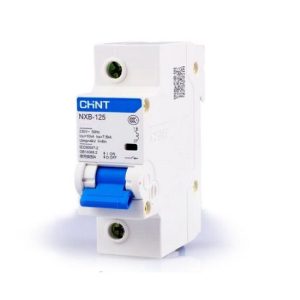 MCB Chint NXB-125 100A 10KA 1P