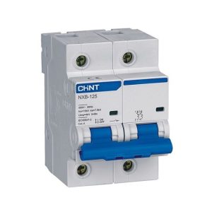 MCB Chint NXB-125 125A 10KA 2P