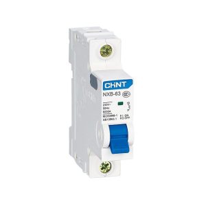 MCB Chint NXB-63 10A 6KA 1P