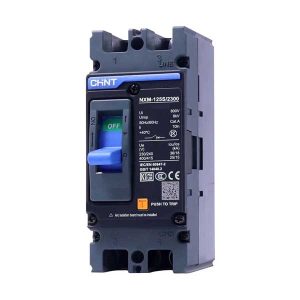 MCCB Chint NXM-125S/2300 80A 25kA 2P